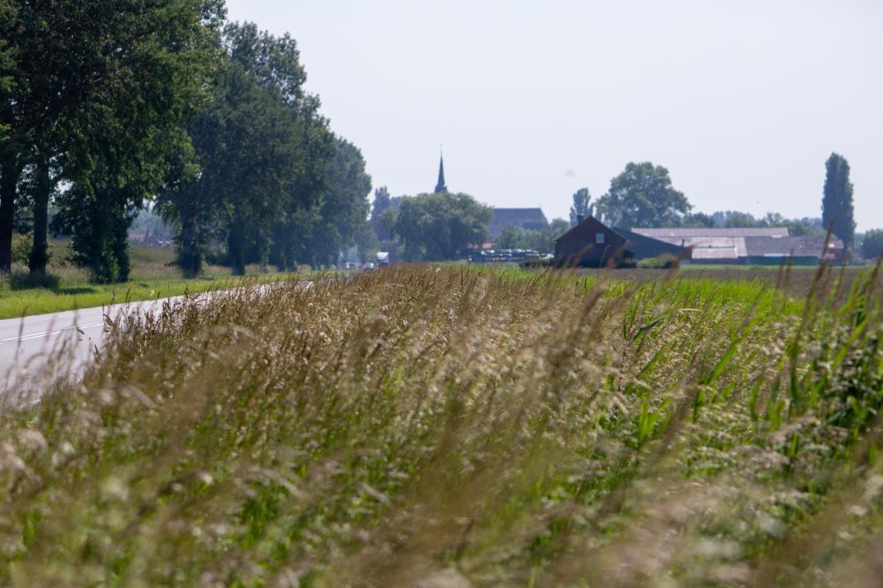 Eglizen Bed and Breakfast Hoofdplaat Buitenkant foto